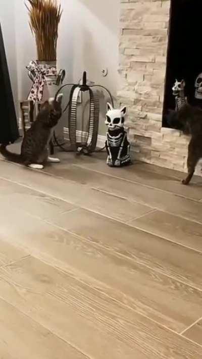 Not a big fan of Halloween, I guess.