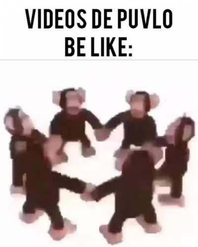 Jaja, dijo que puvlo es gay, rianse