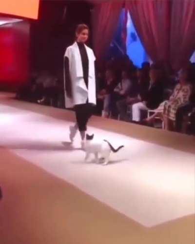 Catwalk vs Catwalk