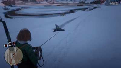 I brought an Alligator to the top of the Mount Hagen