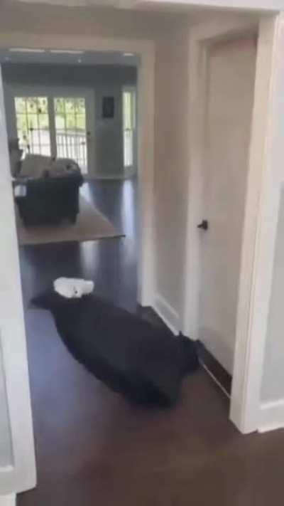 Показалось?