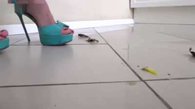 The last one for today