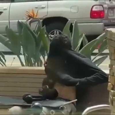 Man does drugs in public and wins stupid prizes