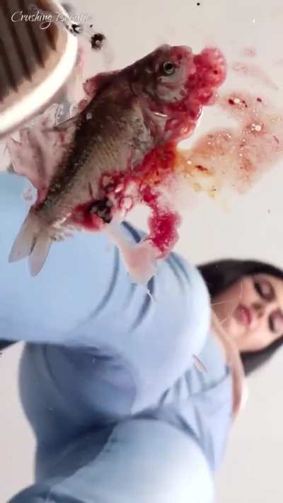 Crushing Beauties - Bug Crushed