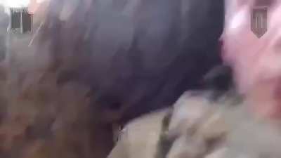 3rd Assault Brigade advanced on Novomykhailivka Outskirts, engaging Russian forces, killing some in a firefight, and finishing one off with an airstrike, all under aerial observation