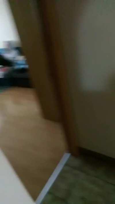 A perfectly cut scream I did with my sister and our family friends(I'm from Slovakia and quarantine is cooling down here, btw)