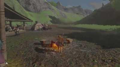 Umm Link...I don't think that's how necks work.