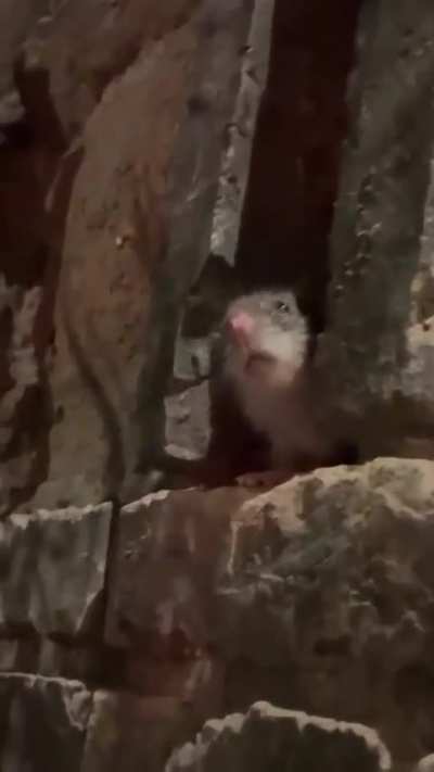 He's just checking if you enjoyed the dish