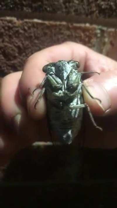 AAAAAAAAAAAAAAAAAA!!!!!