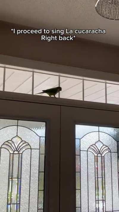 Partying to La Cucaracha