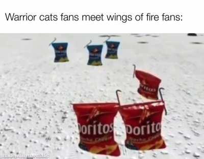 It’s tf2 vs overwatch all over again.