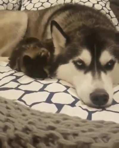 when you want to relax after work but the kids wanna play