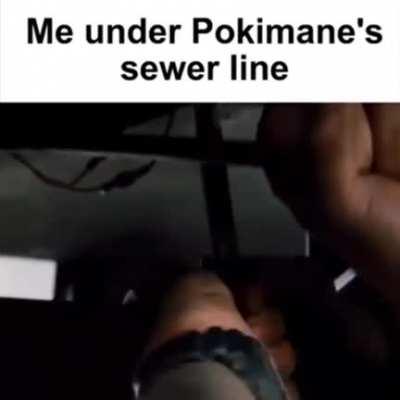 i enquire bodily fluids