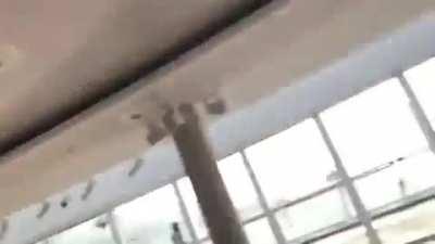 Yo! This was not in the brochure bro.