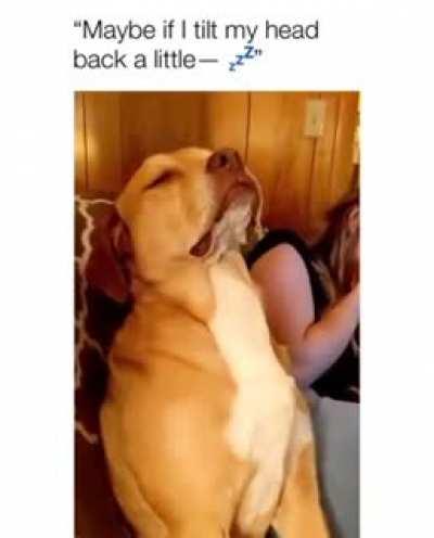 Me trying to get through morning lectures