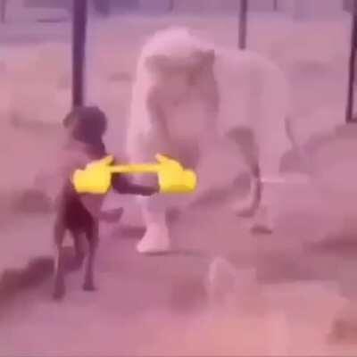 Oni-chan 😳👉👈