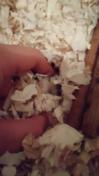 I just can't get over how much I love her. 🥺💖