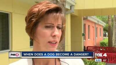 Unprovoked attack on child- Pit Bull owner claims 