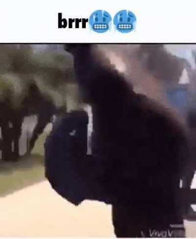 Wordington Ice Bucket Challenge