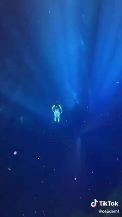 Dayane Damm (@daydamm)