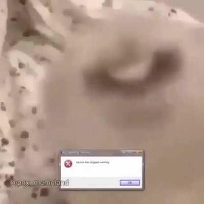 Guys I think I crashed my cat