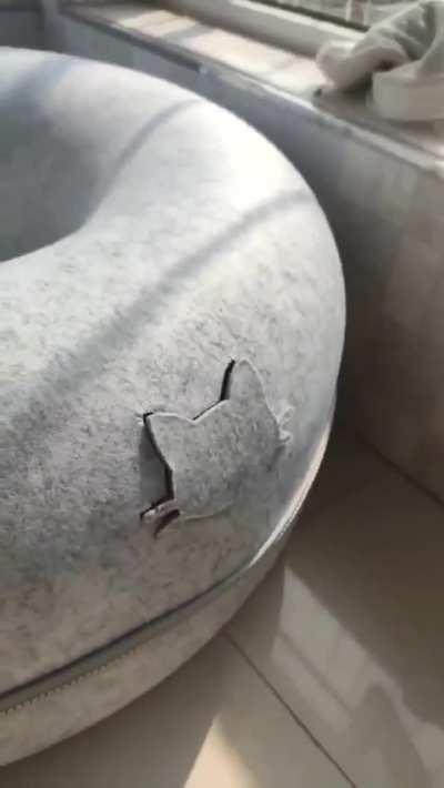 I said keep it open.