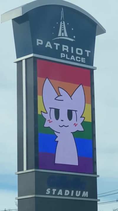 Gay furry hackers strike Gillette stadium!