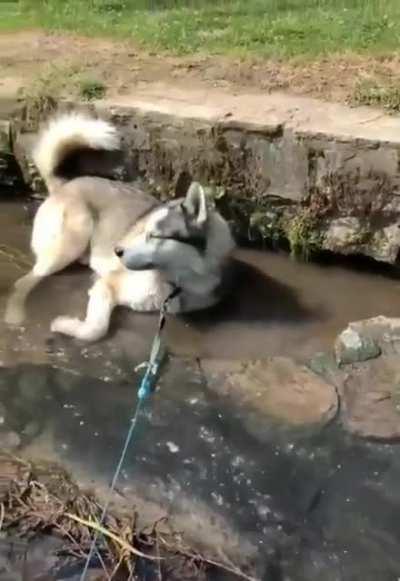 He's a weirdo. But still love him❤