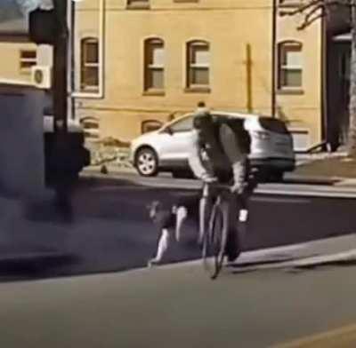 Not looking both ways.