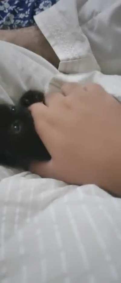 Huge criminal. Tried to eat me. Barely made it