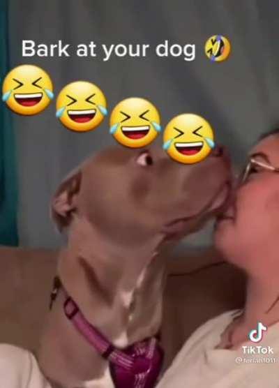 What could've she said for the doggo to shocked.