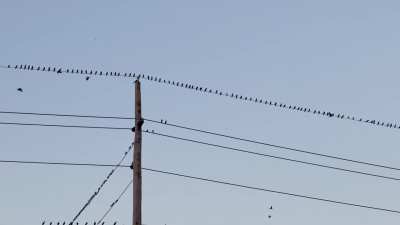 Ran across what appears to be a charging station.