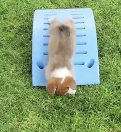 At least he tried his best