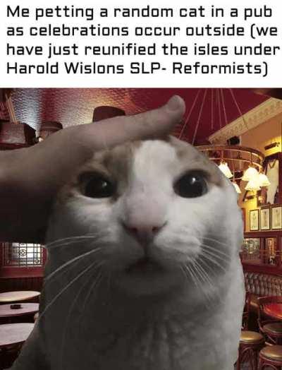 Pet the cat for England lads.