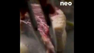 Nonbinary cartoons for kids are a thing