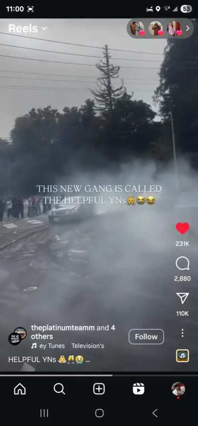 Lady tries to talk to the manager at a takeover while holding her dog.