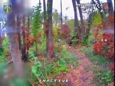 Ukrainian fiber-optic FPV drones of the 