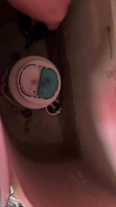 Water issue with Glacier Bay toilet?