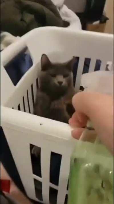 Big human with gun... Take that away and what are you?