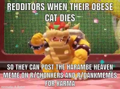 Double chonkers moment