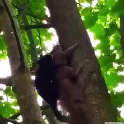 Непростительная ошибка