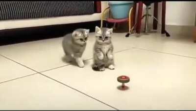 Погоди, не трожь.