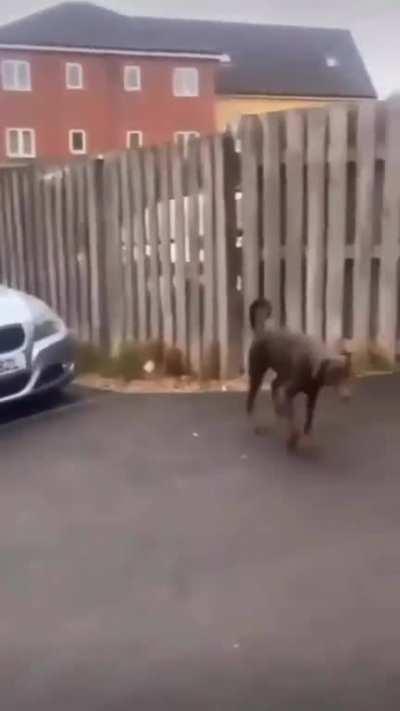 I'll leave this riiiiight here