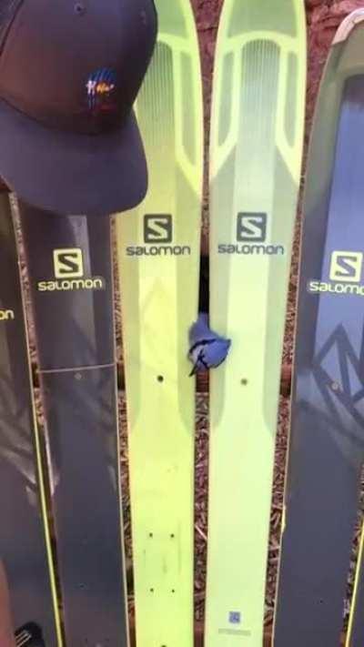 Builder traps bird in fence