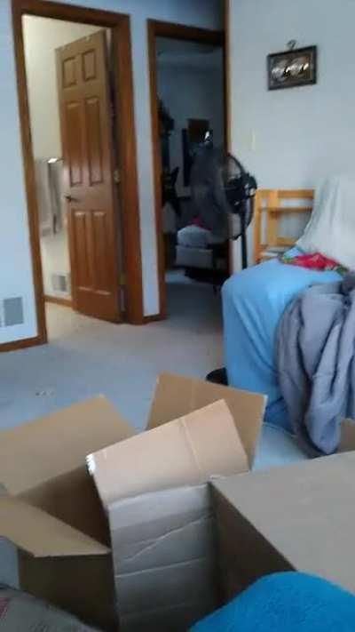 A bit long, but worth it