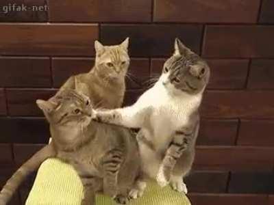 That escalated quickly...