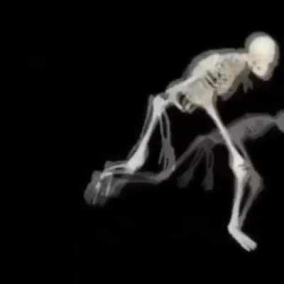 Top 10 most 💀 songs ever