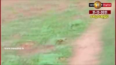 most geographically educated w*st*rn*rs tried to mock indian space program (but it’s sri lanka)