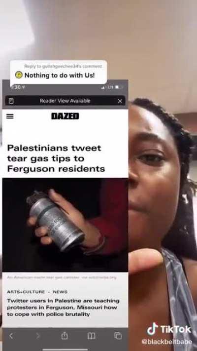 Solidarity between BLM and Palestine!