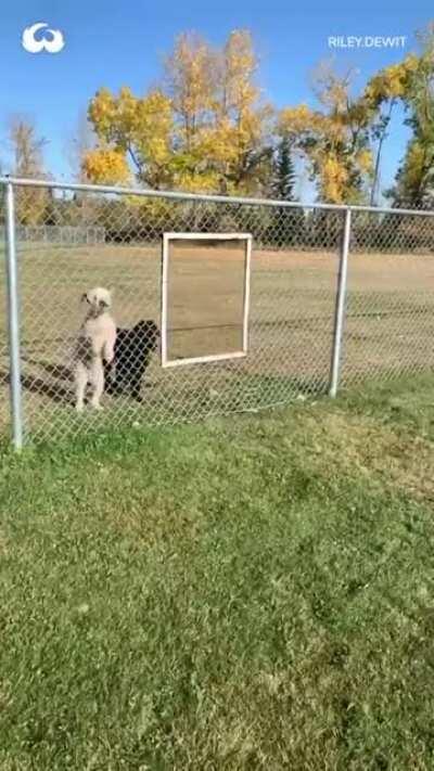 There are 2 types...